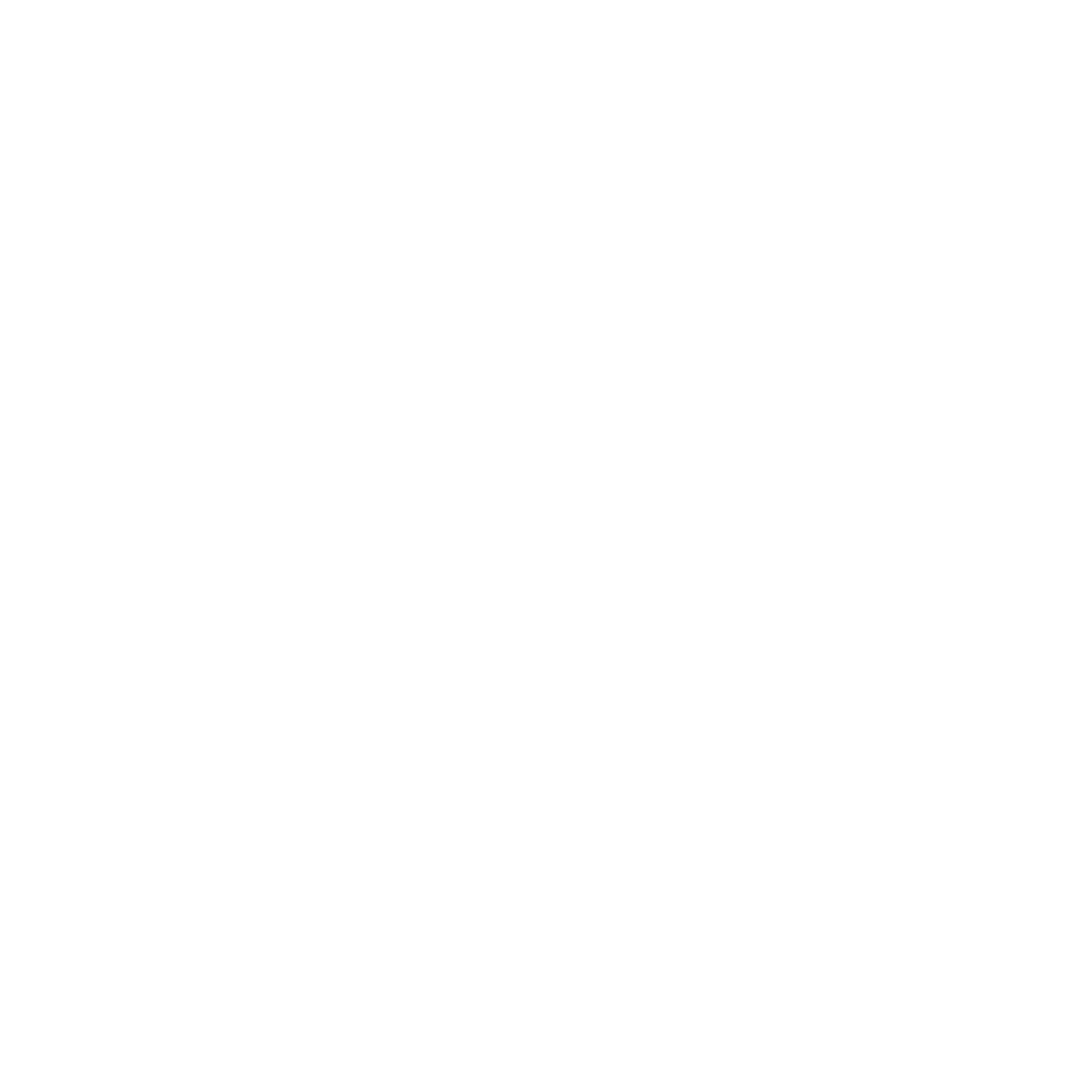 SOLIDEE LOGO_Transparent